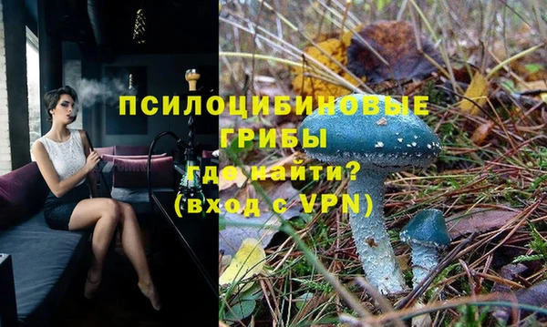 таблы Лиски